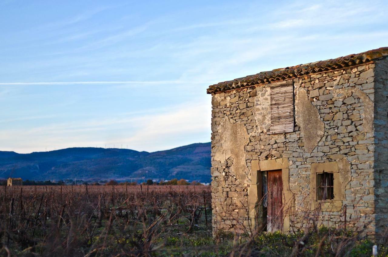 Hébergement de vacances Maison De Margot - Avec Piscine Peyriac-Minervois
